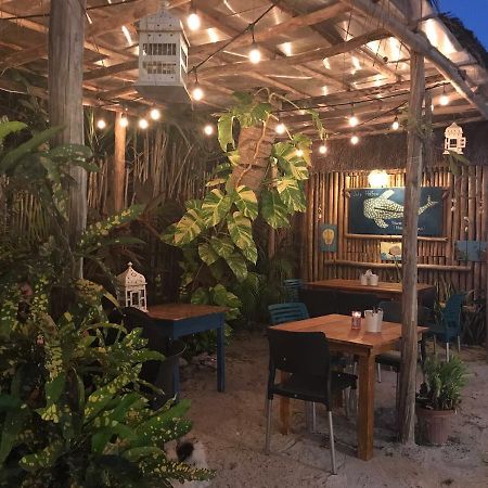 Eco Hostel Casa Del Agua Isla Holbox Exteriör bild